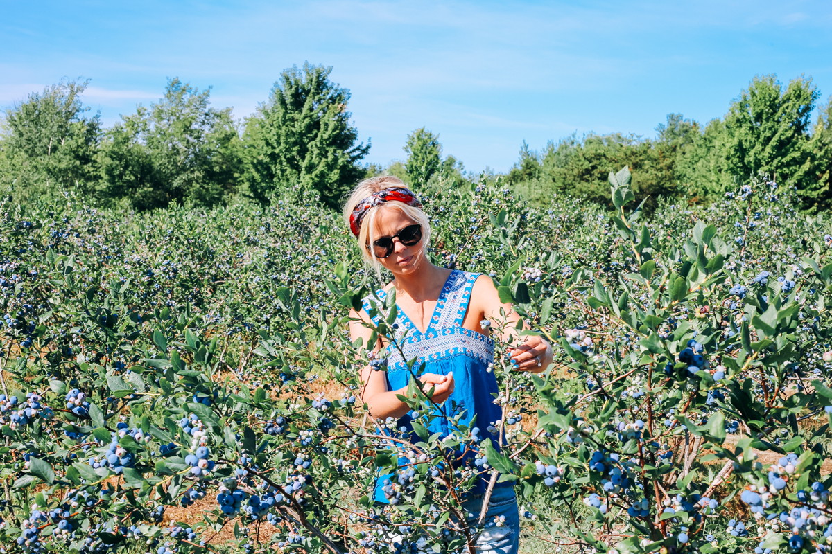 pentwater_blueberry-8